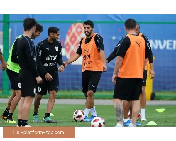 2026世界杯全面竞猜策略与赛程分析指南全解