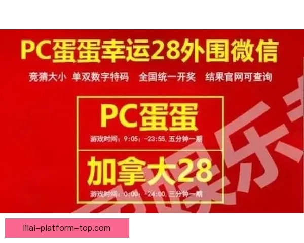 世界杯竞猜投注新玩法解析如何科学提升投注技巧与获胜概率 世界杯竞猜投注新玩法解析如何科学提升投注技巧与获胜概率